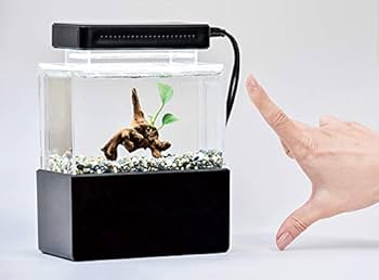 Amazon | オブロン S-15 ブラック ミニオーバーフロー水槽 USB